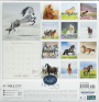 2027 HORSES WILD AT HEART CALENDAR - Thumb 2