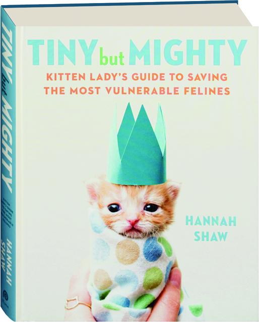 kitten lady tiny but mighty