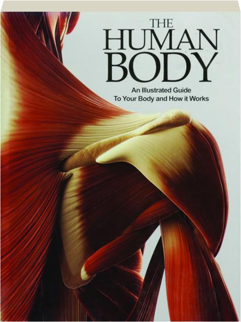 THE HUMAN BODY An Illustrated Guide To Your Body And How It Works HamiltonBook