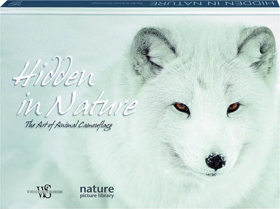HIDDEN IN NATURE: The Art of Animal Camouflage 