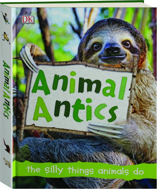 ANIMAL ANTICS: The Silly Things Animals Do 