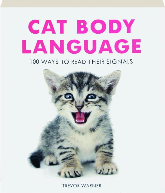 Cat Body Language 100 Ways To Read Their Signals