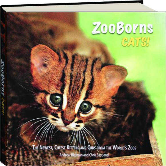 Zooborns Cats The Newest Cutest Kittens And Cubs From
