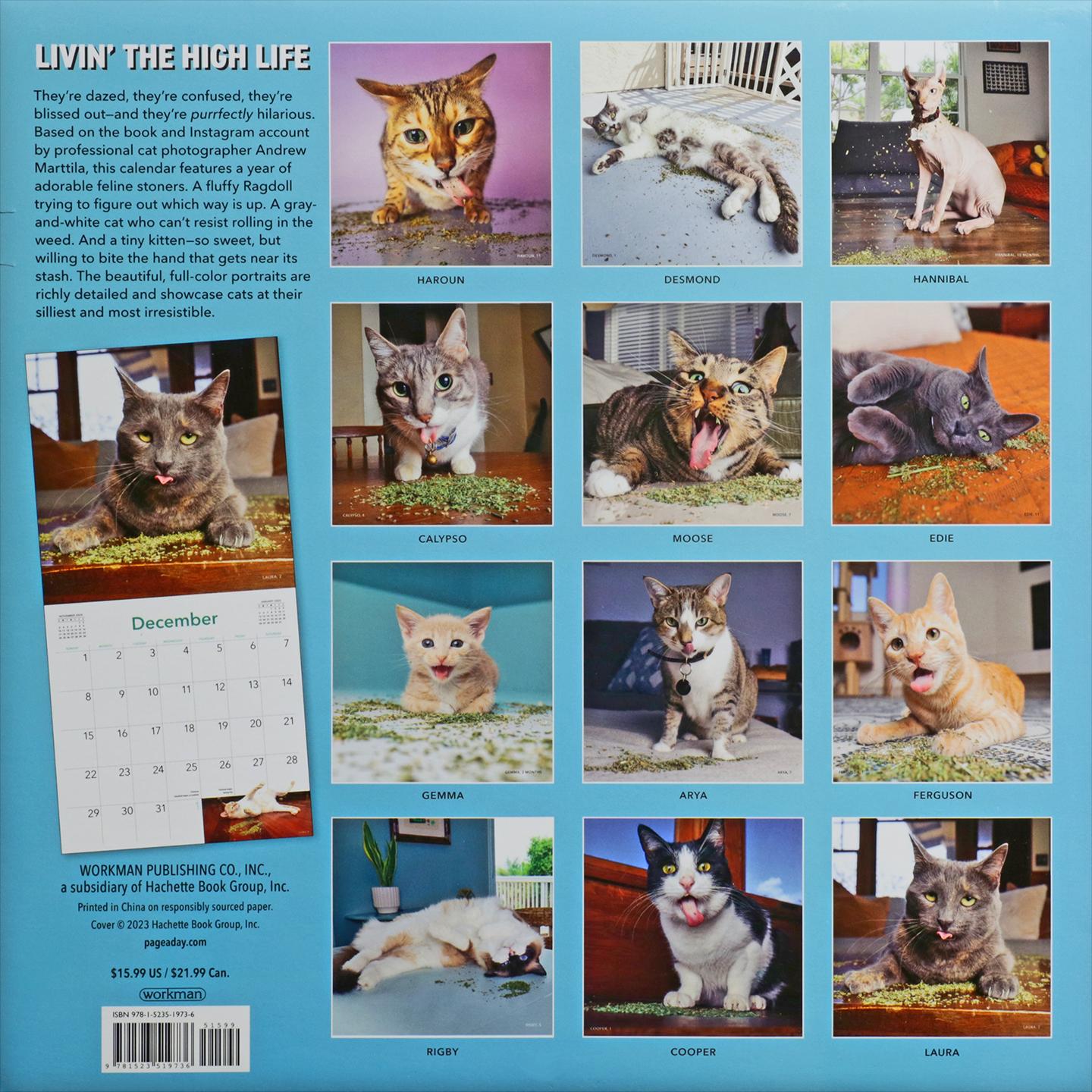 2024 CATS ON CATNIP CALENDAR