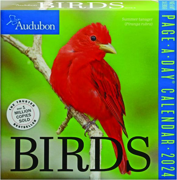 2025 AUDUBON BIRDS PAGEADAY CALENDAR