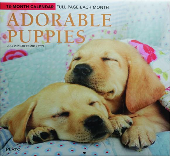 2024 ADORABLE PUPPIES CALENDAR