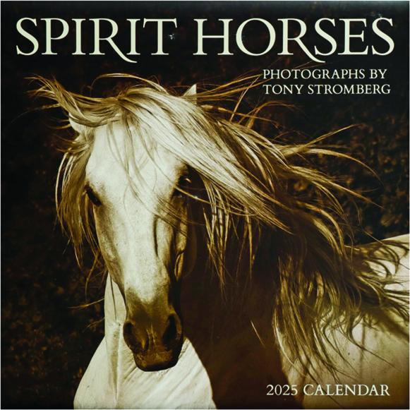 2025 SPIRIT HORSES CALENDAR