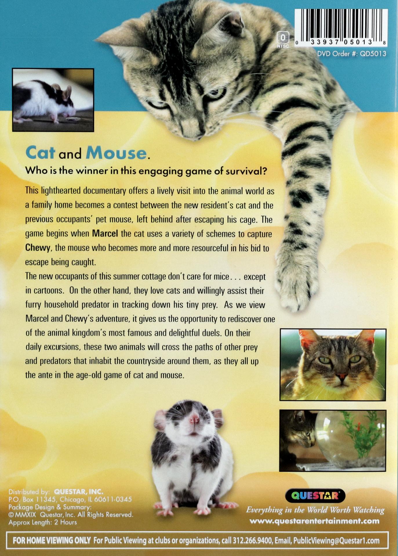 A CAT & MOUSE GAME - HamiltonBook.com