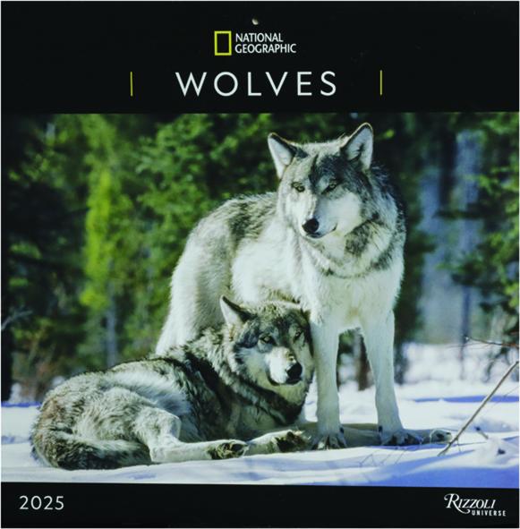 2025 NATIONAL GEOGRAPHIC WOLVES CALENDAR